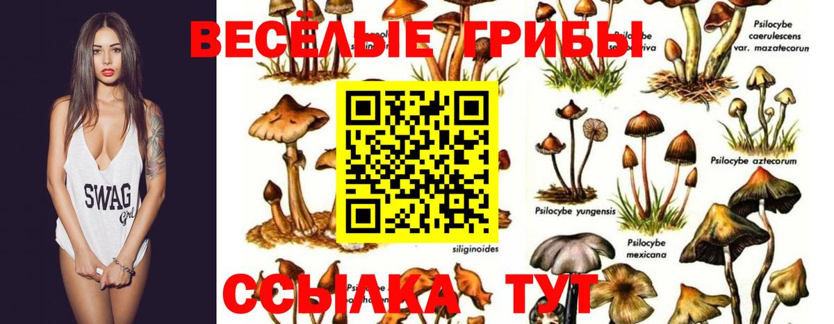 Унеча  Галлюциногенные грибы мицелий  Вход с VPN 